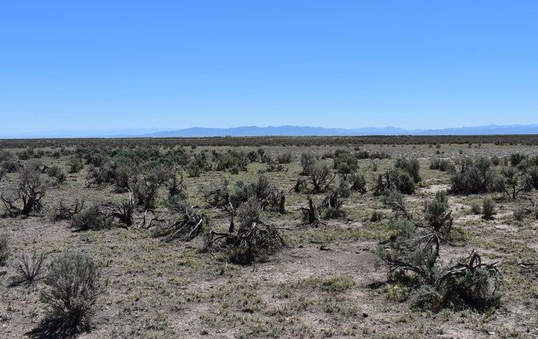 Adjacent Landowners